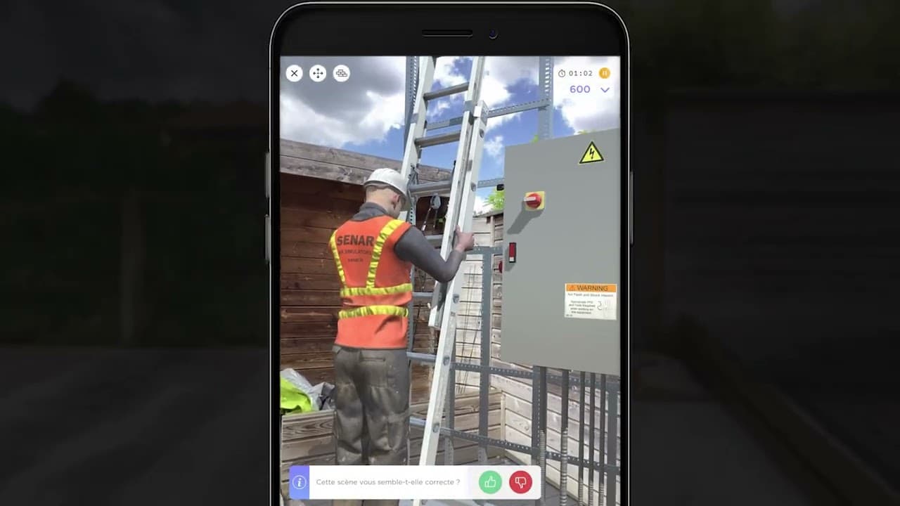 Sécurité des échelles