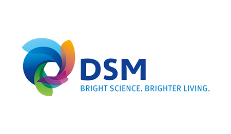 logo manufacturing dsm